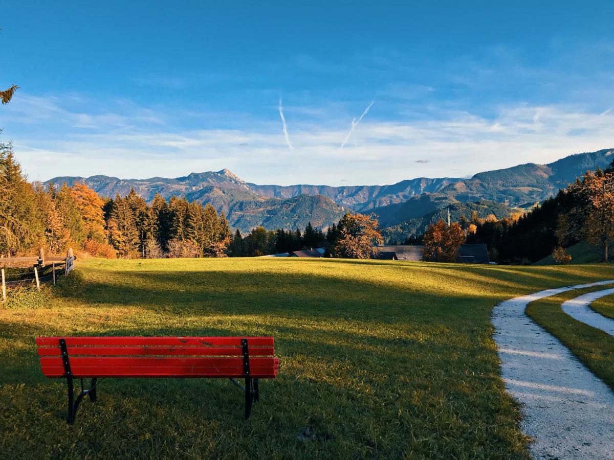 Ferienhaus Zwickelreith Göstling an der Ybbs Esterno foto