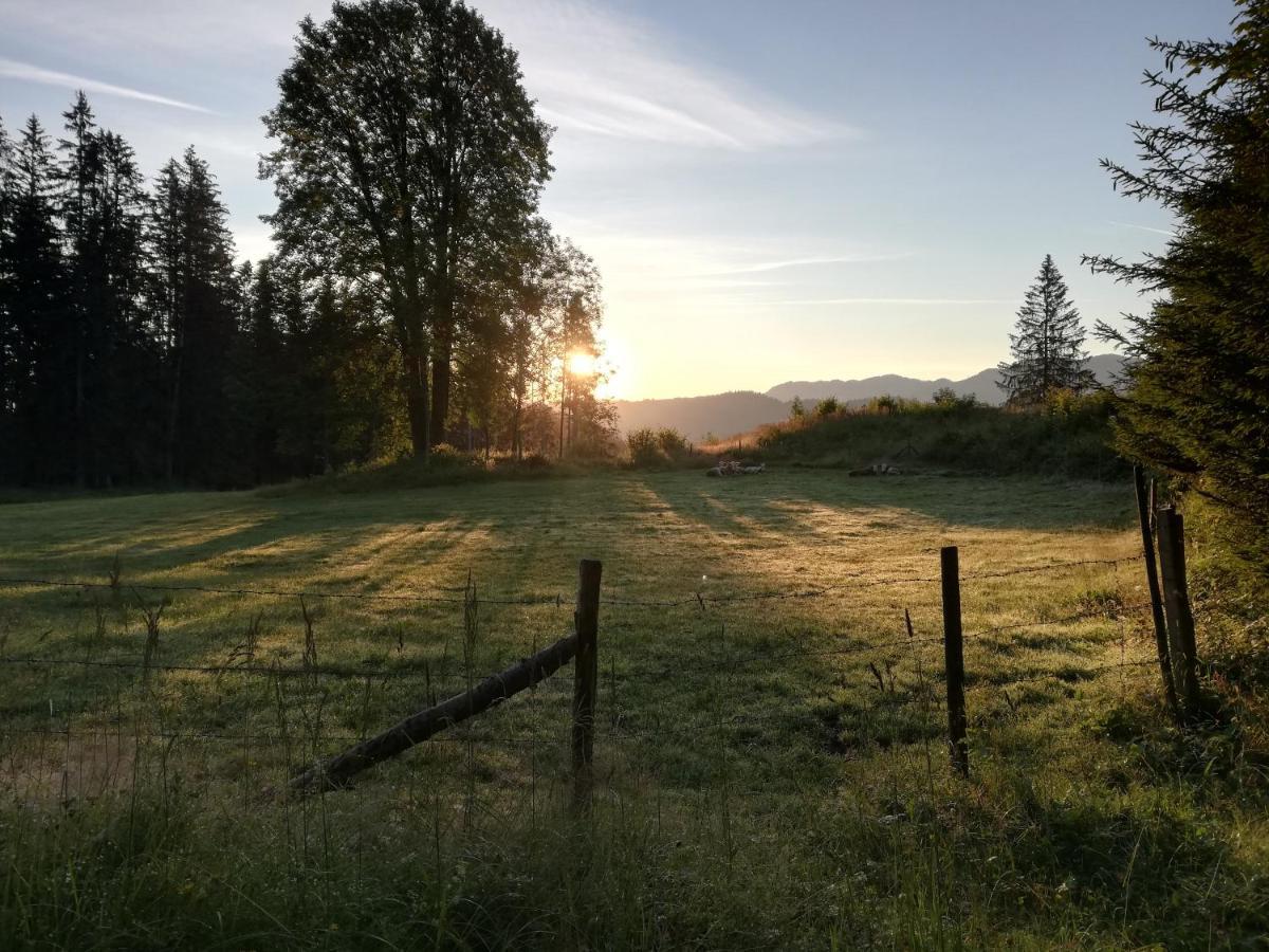Ferienhaus Zwickelreith Göstling an der Ybbs Esterno foto