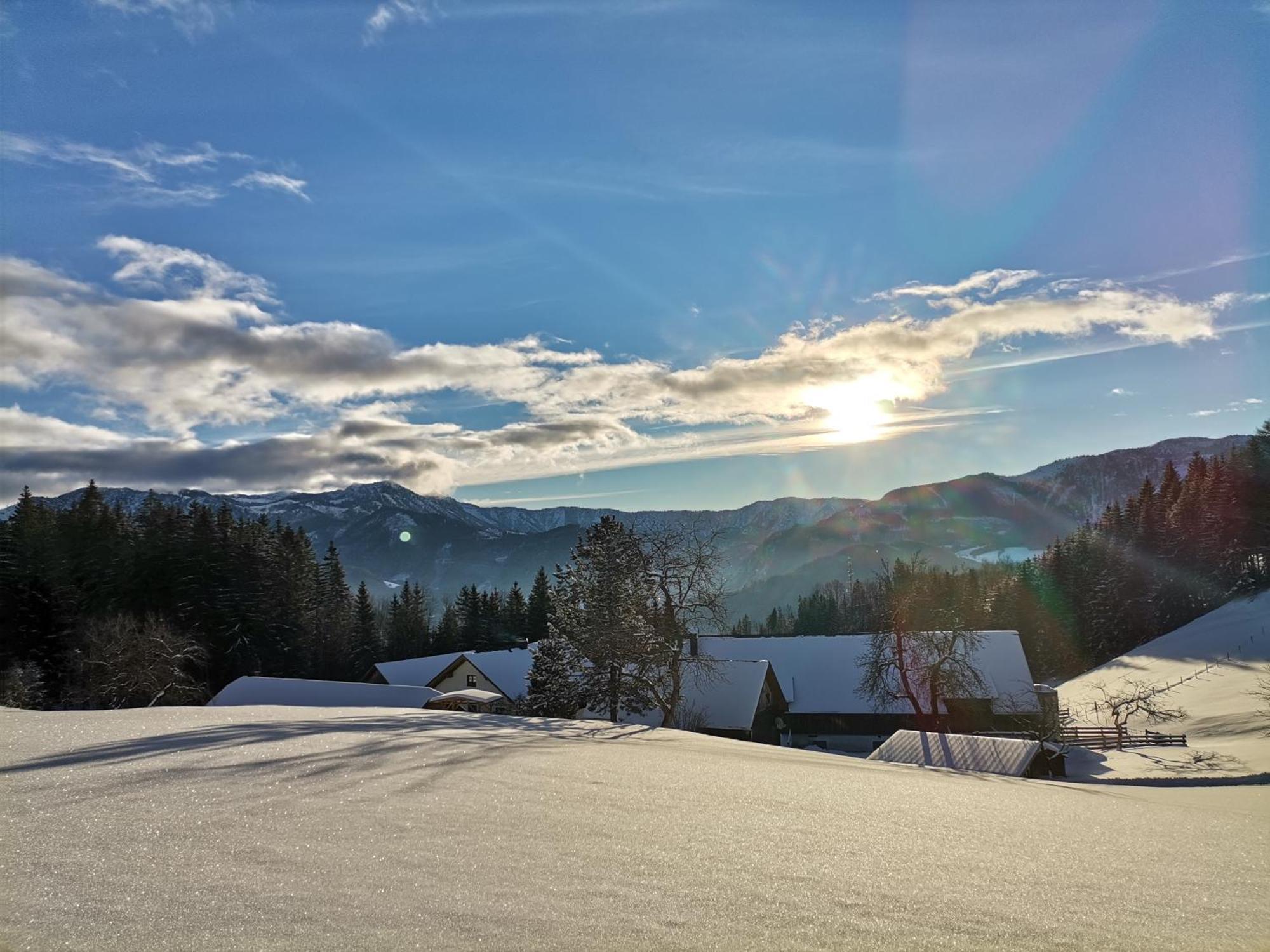 Ferienhaus Zwickelreith Göstling an der Ybbs Esterno foto